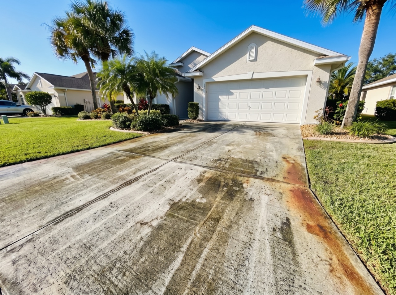 Driveway before cleaning